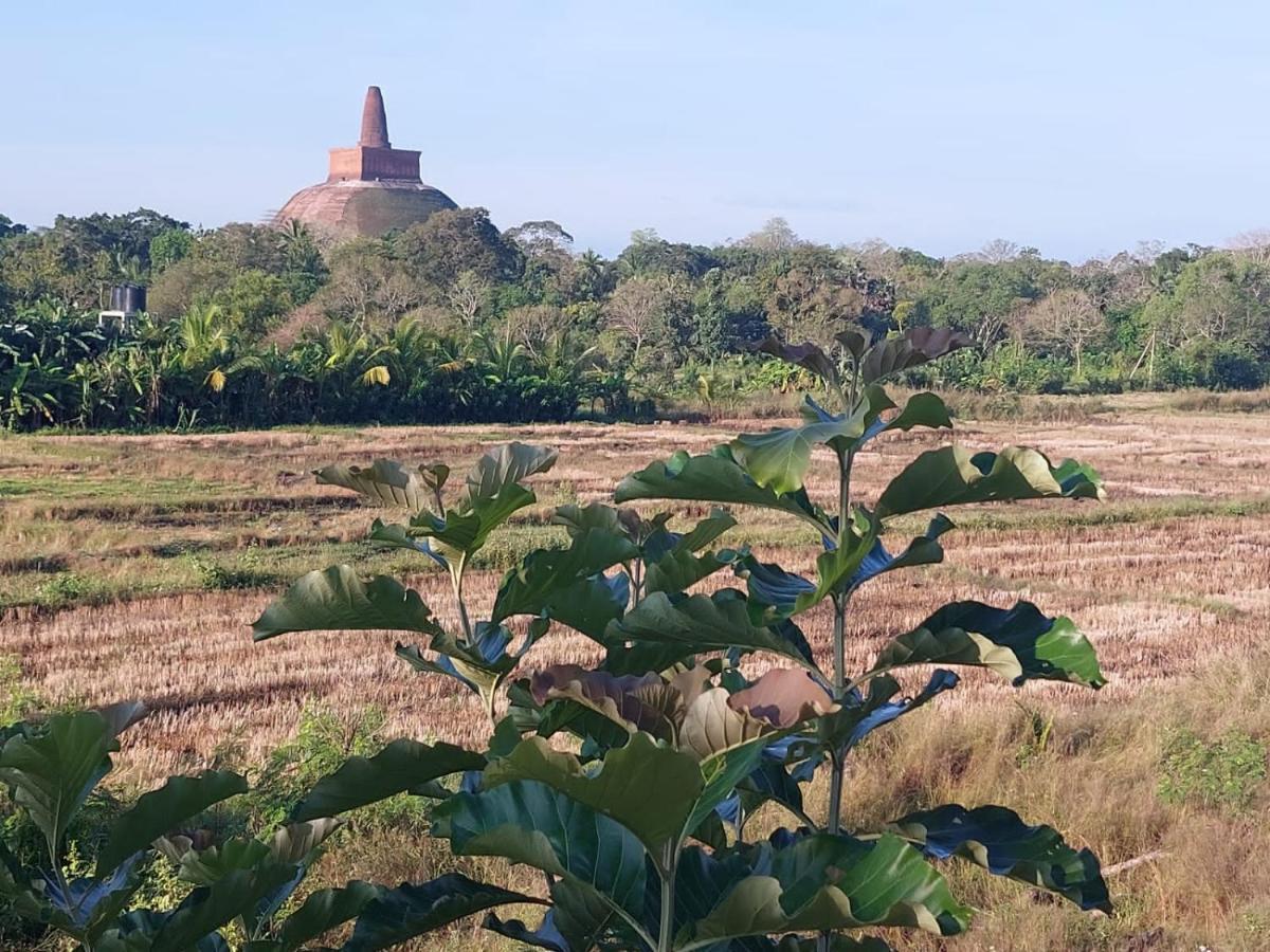 Green Shield Resort Anuradhapura Eksteriør bilde
