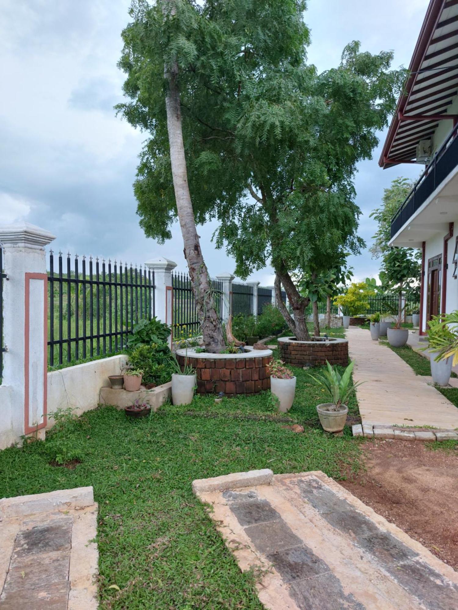 Green Shield Resort Anuradhapura Eksteriør bilde