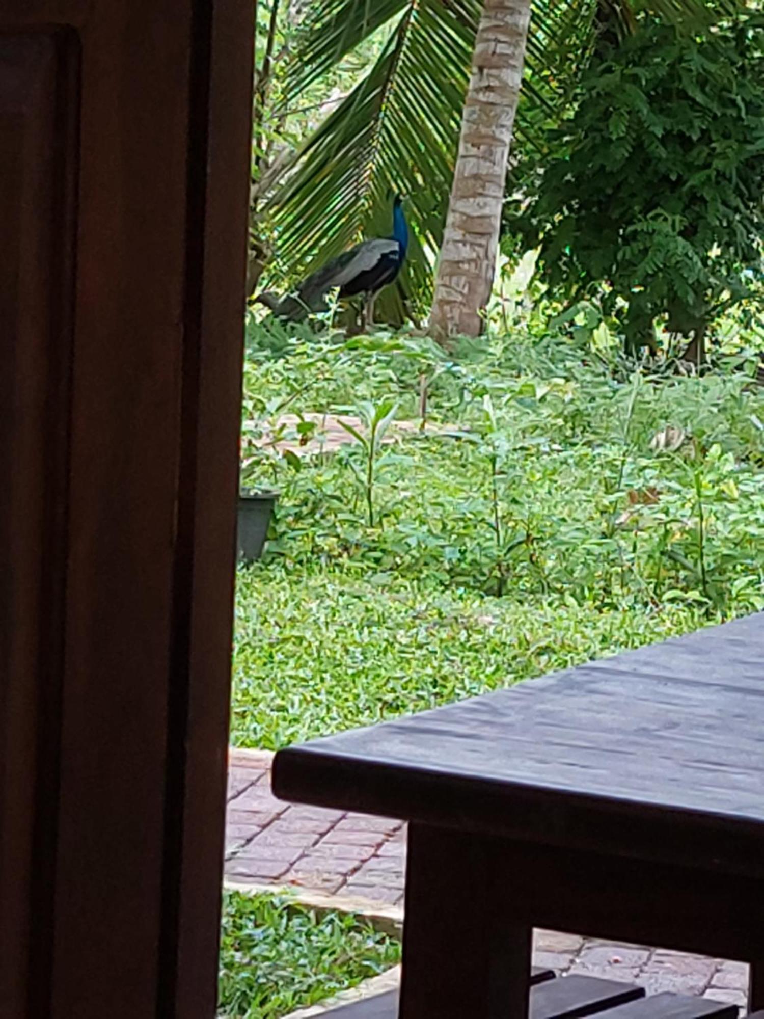 Green Shield Resort Anuradhapura Eksteriør bilde