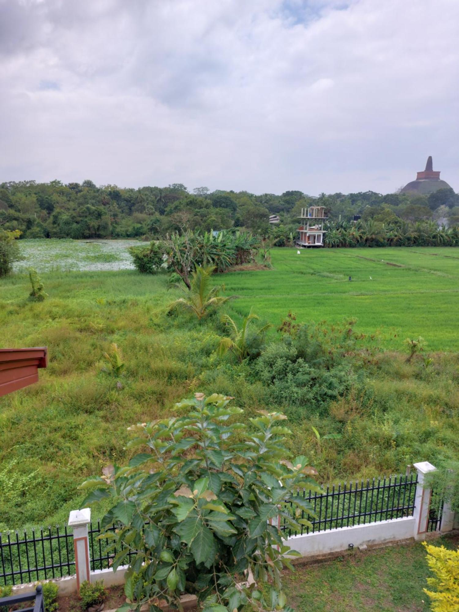 Green Shield Resort Anuradhapura Eksteriør bilde