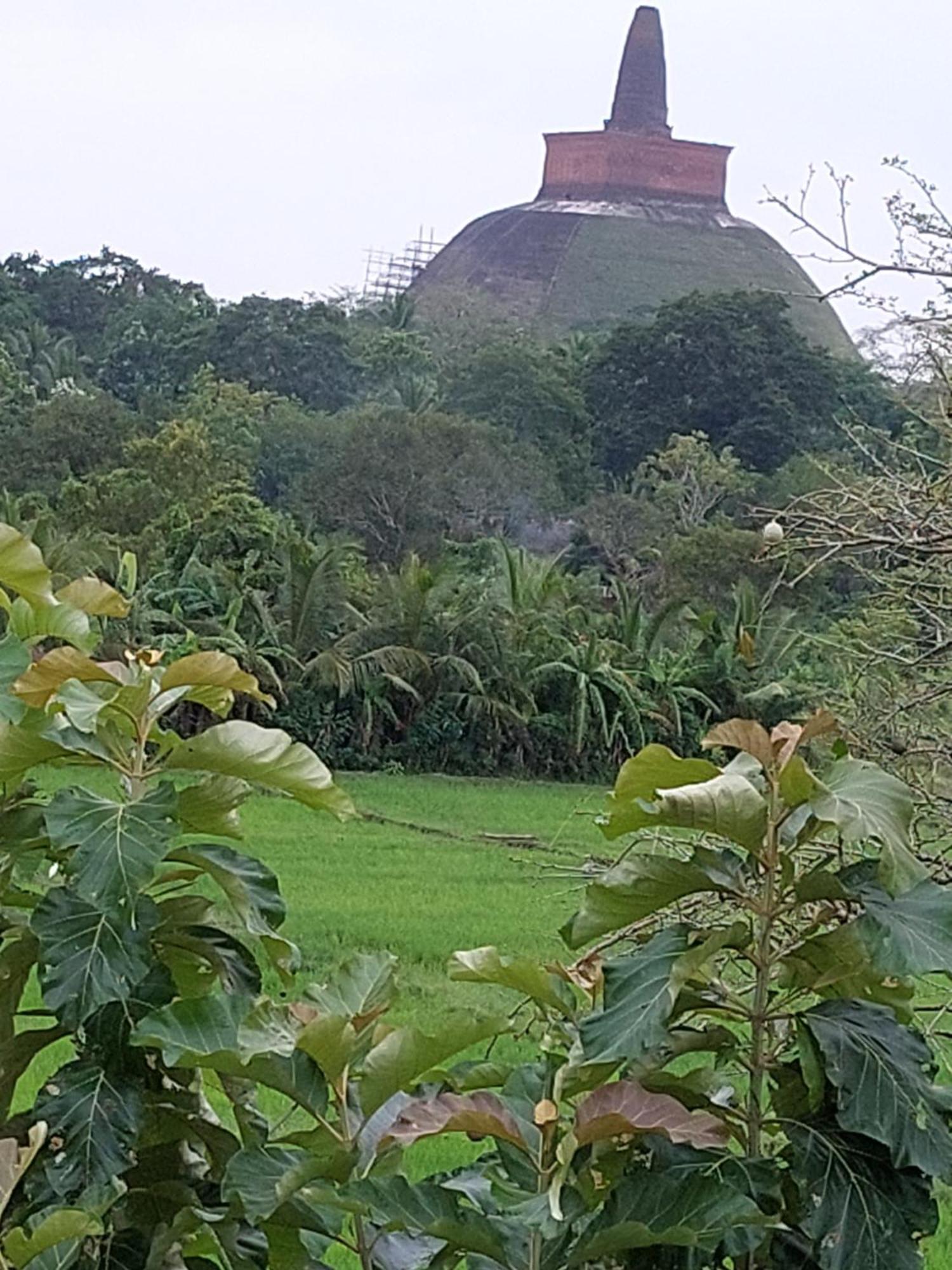 Green Shield Resort Anuradhapura Eksteriør bilde