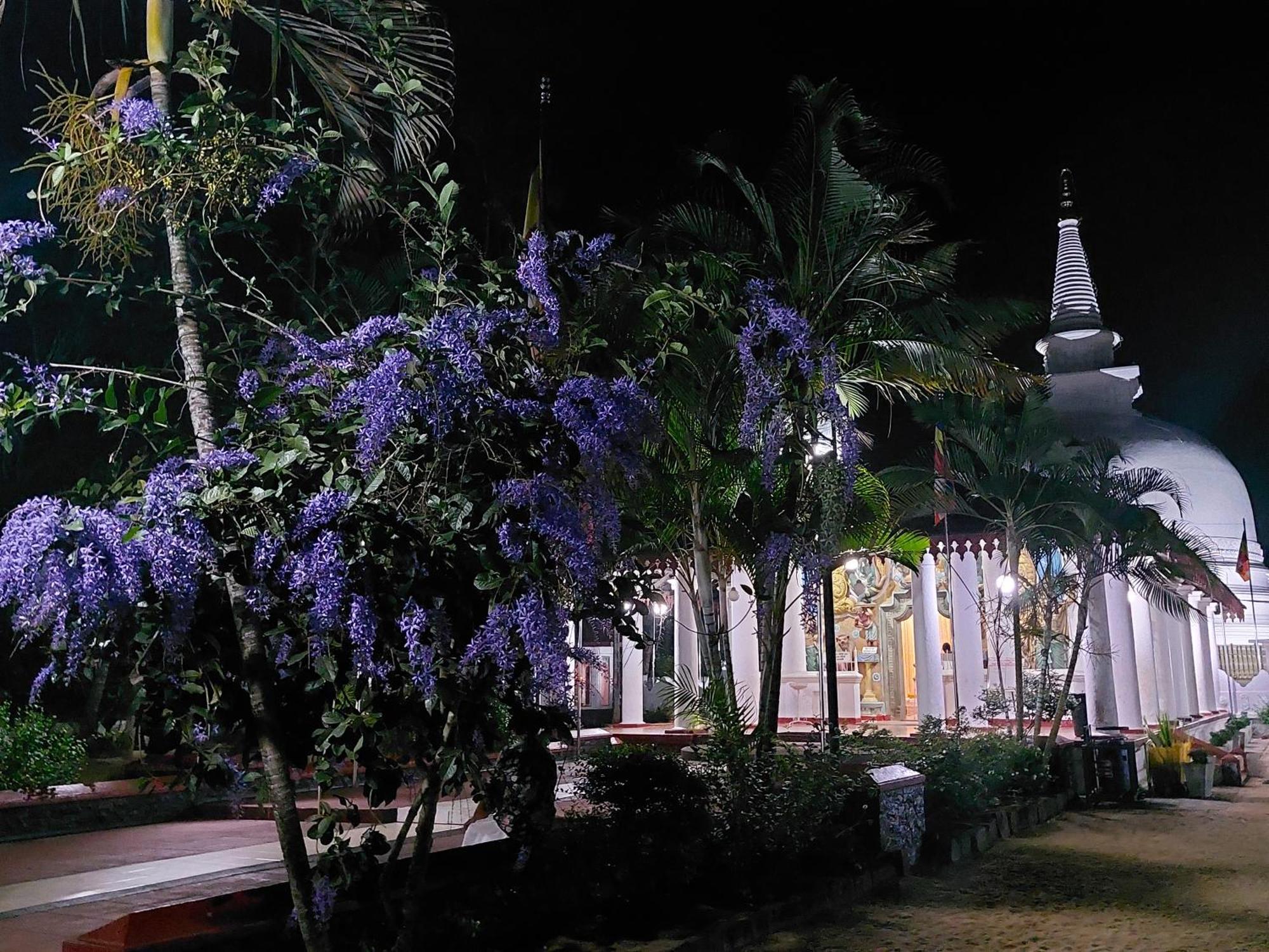 Green Shield Resort Anuradhapura Eksteriør bilde