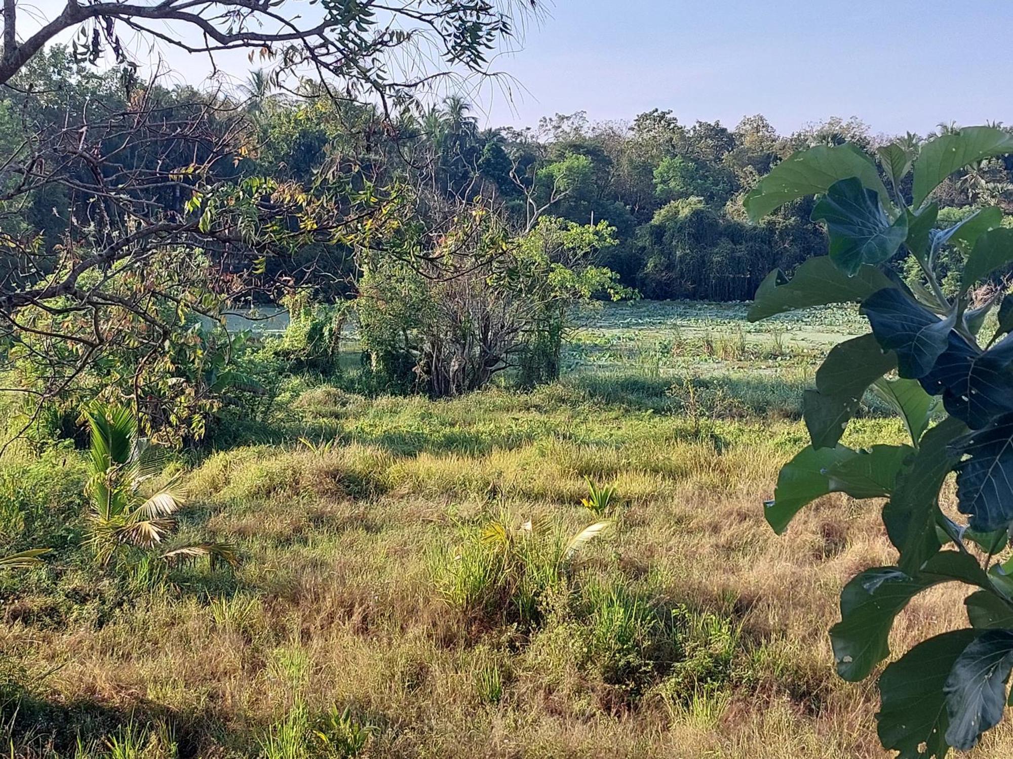 Green Shield Resort Anuradhapura Eksteriør bilde